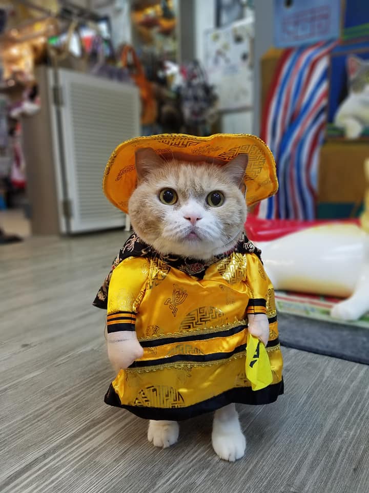 「忌廉哥 與 忌廉家族」FB圖片