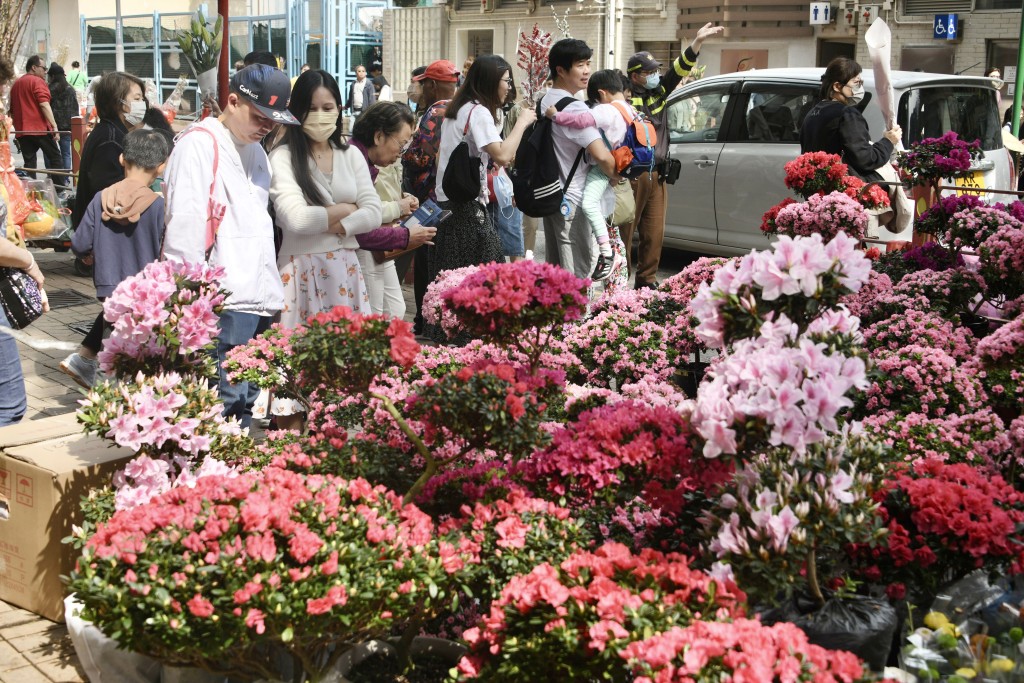 市民購買年花情況。資料圖片