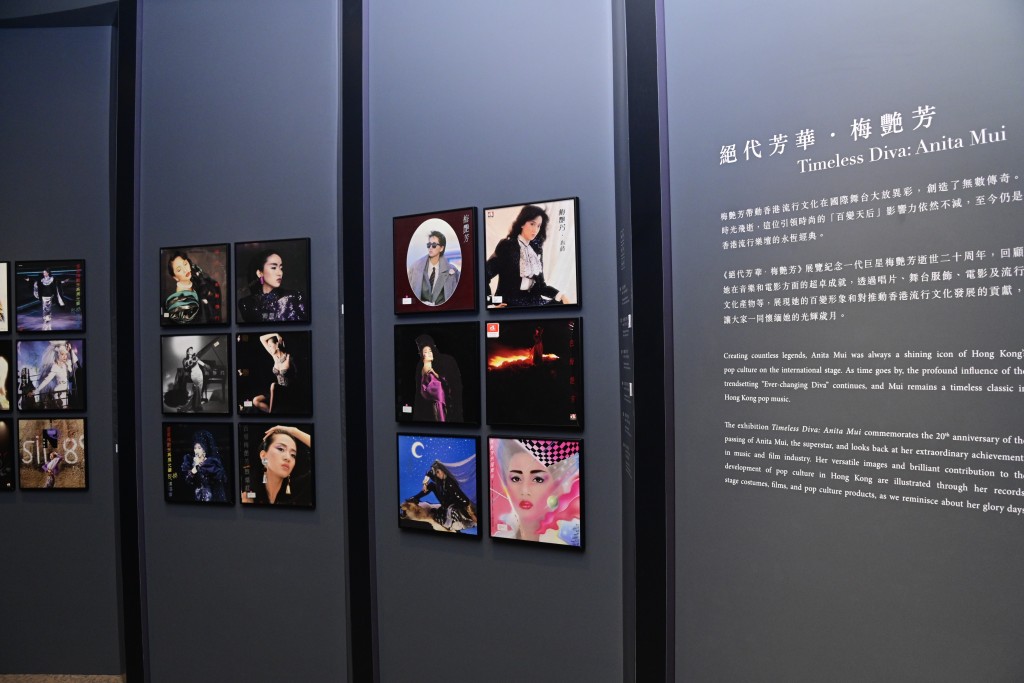今年是一代巨星梅艷芳逝世20周年，由明日平安夜（24日）開始，至明年9月2日，沙田文化博物館將會舉行「絕代芳華．梅艷芳」展覽。