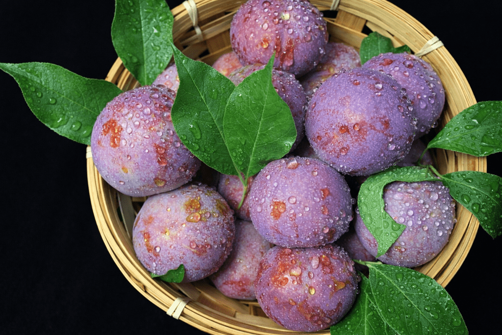 三華李 (圖片由作者提供)