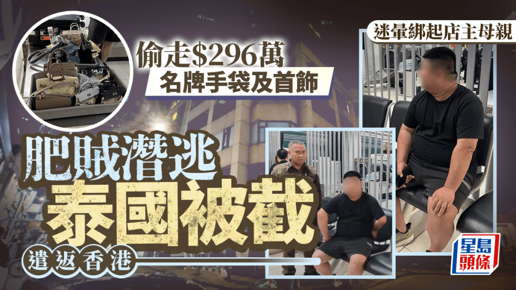 迷暈賊劫$300萬名牌袋｜30歲內地男落網 警稍後交代案情