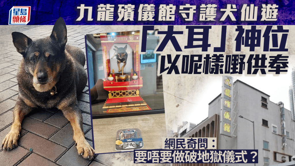 九龍殯儀館守護犬仙遊 「大耳」神位以呢樣嘢供奉 網民：要唔要破地獄？