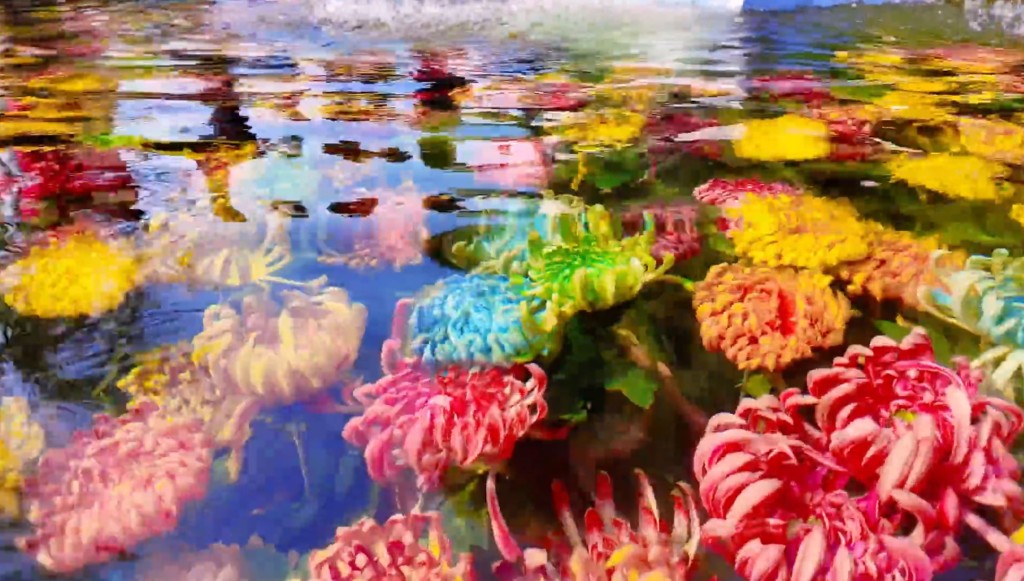 開封水下浮菊打破賞花只可在地上的固有思維，大獲好評。