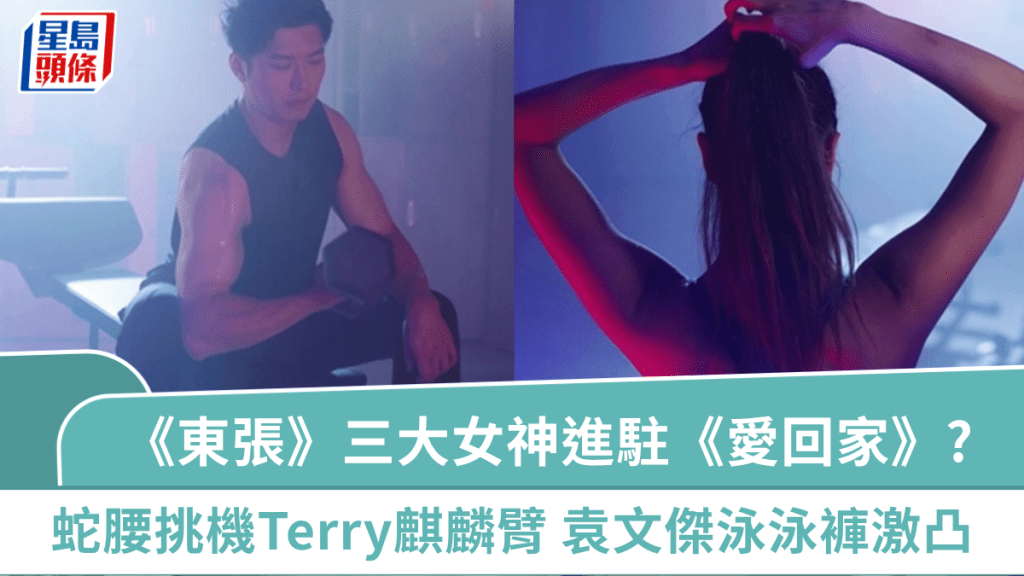 《東張》三大女神進駐《愛‧回家》？淺晒蛇腰挑機「Terry」麒麟臂 袁文傑許家傑激凸泳褲好養眼