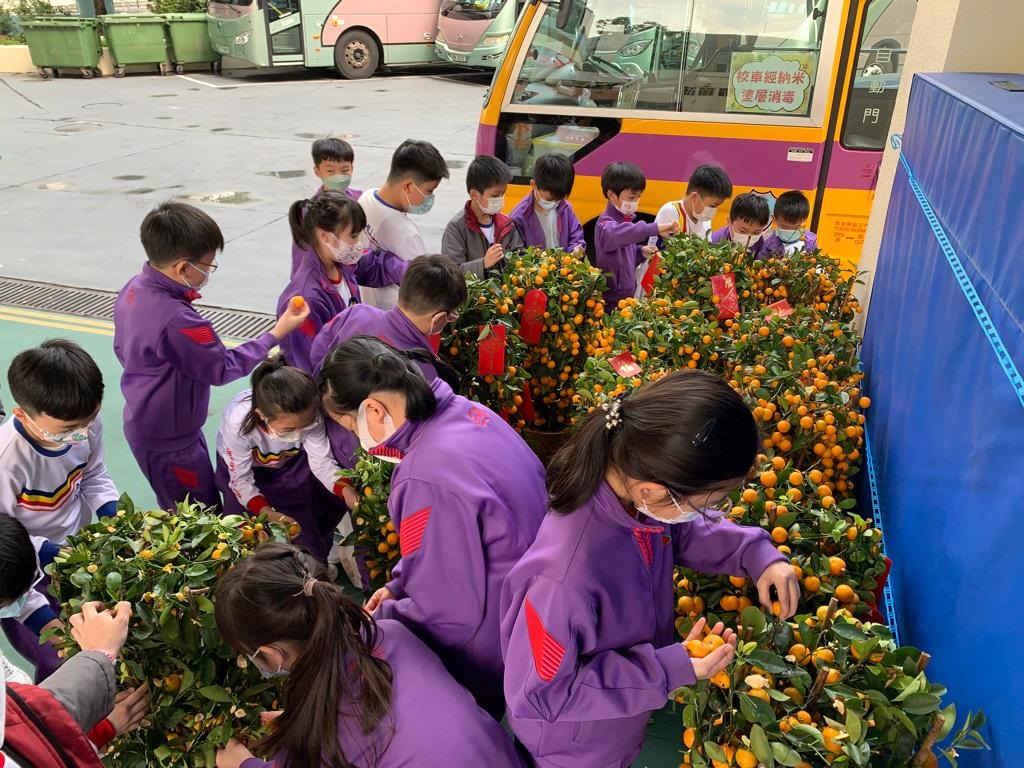 同學們整理家長捐贈的四季桔，並一起清除盆栽上的裝飾。（圖片來源：受訪者提供）