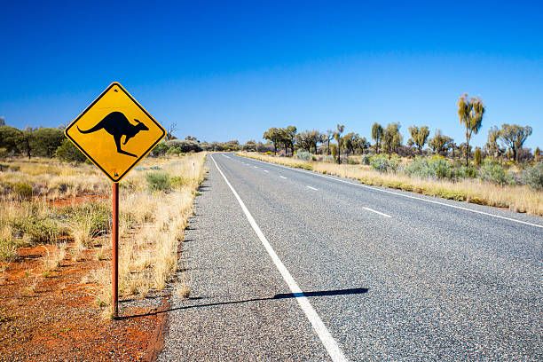 澳洲有很多交通標誌，見到袋鼠路牌，就要留意，不宜開得太快。