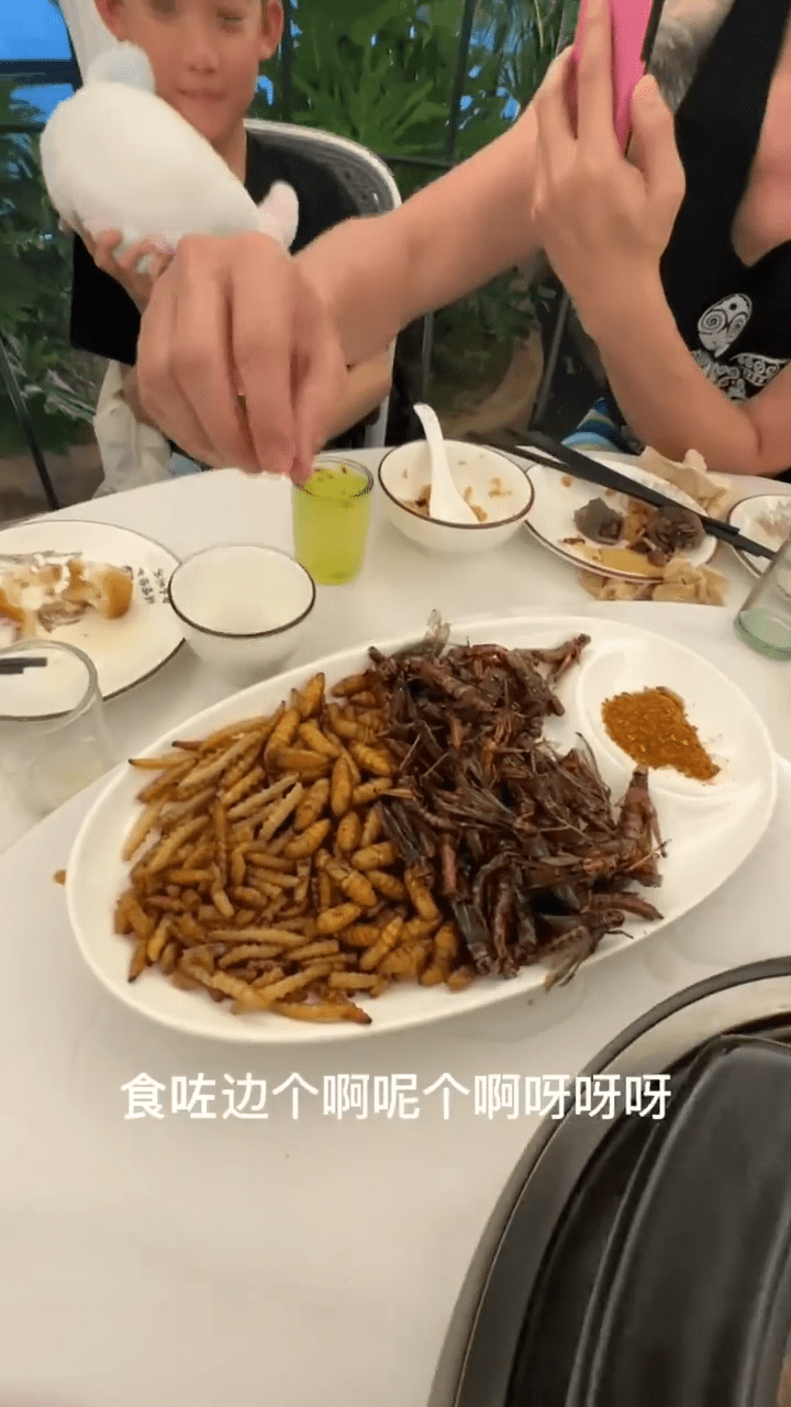 早前洪天明一家畅游云南西双版纳，仲试食当地最出名昆虫菜色。