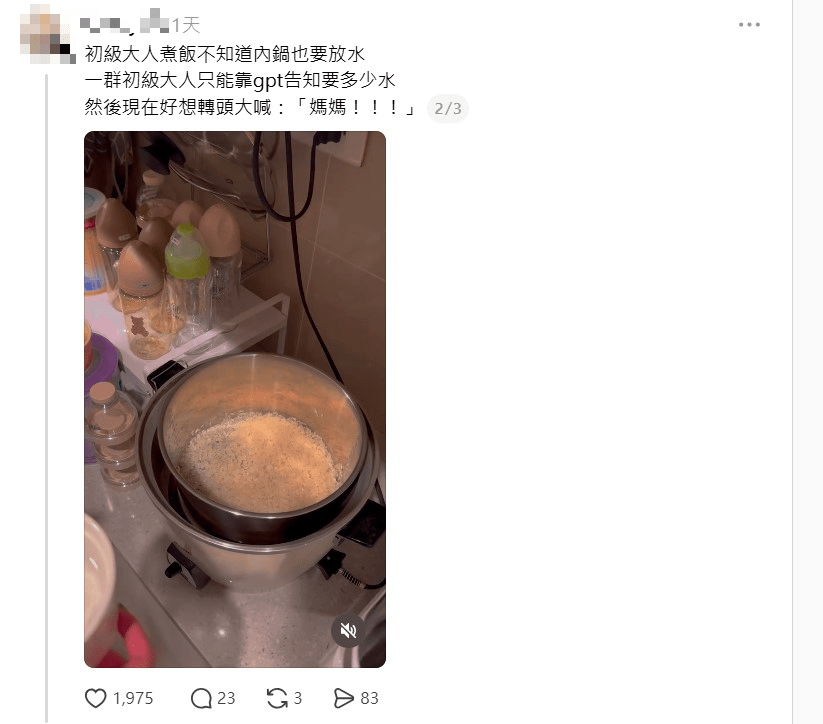 例如在家煮飯時,竟無人知道電飯煲的內鍋也需要加水,最終只能向AI查問才完成。 例如在家煮飯時,竟無人知道電飯煲的內鍋也需要加水,最終只能向AI查問才完成。