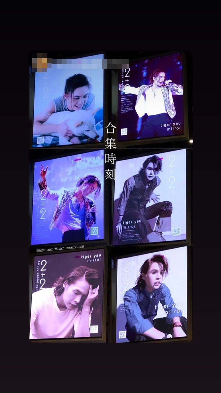 Digital Panel播放由Tiger不同照片組成的影片。