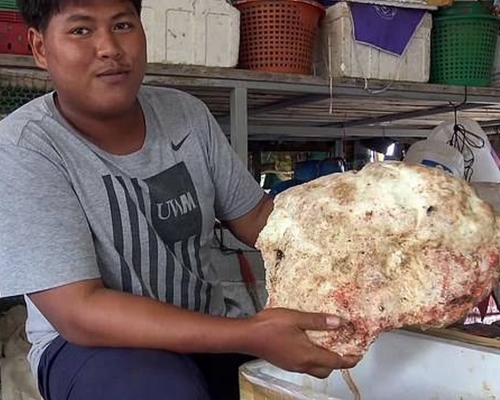 泰國漁民岸邊拾獲7kg鯨魚嘔吐物，價值高達21萬英鎊。(網圖)