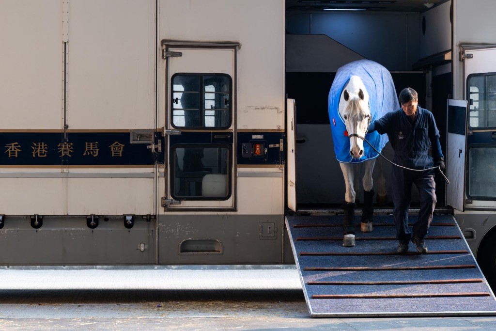 約60匹參與盛典的馬匹本周二於海外運抵本港，由機場經馬會運馬車前往亞博。公關圖片