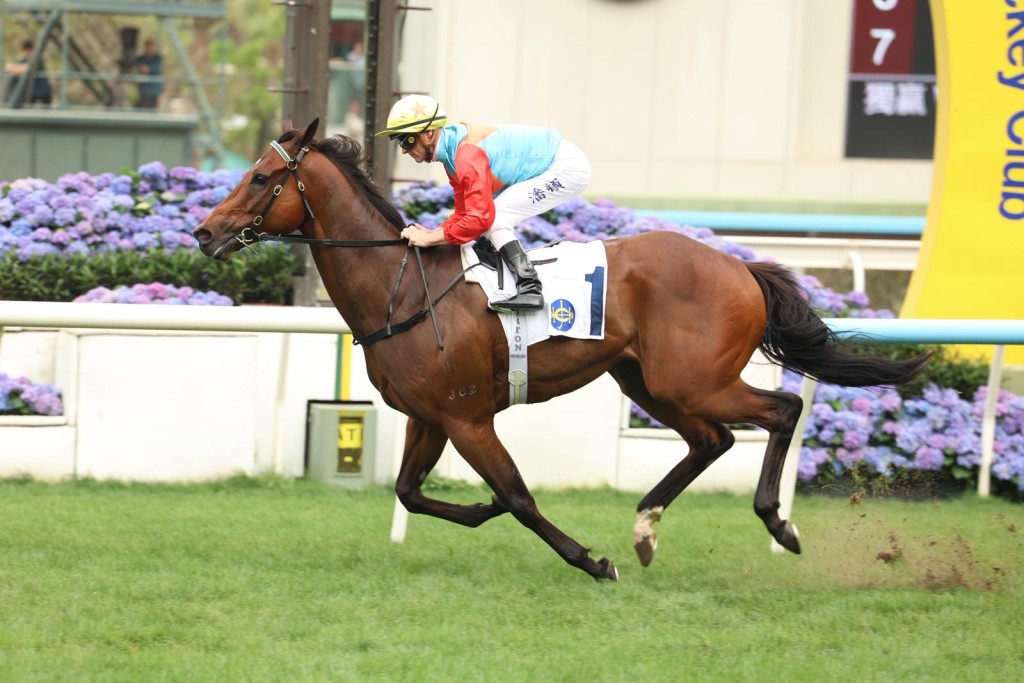 周日冠军一哩赛马日，当日戏肉放在三场一级赛，全球最高分马兼香港马王「嘉应高升」将会跑主席短途奖，继续由好拍档潘顿主辔，全力进军二十连捷。