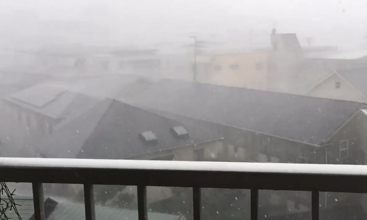 當地刮起狂風能見度極低。網上圖片