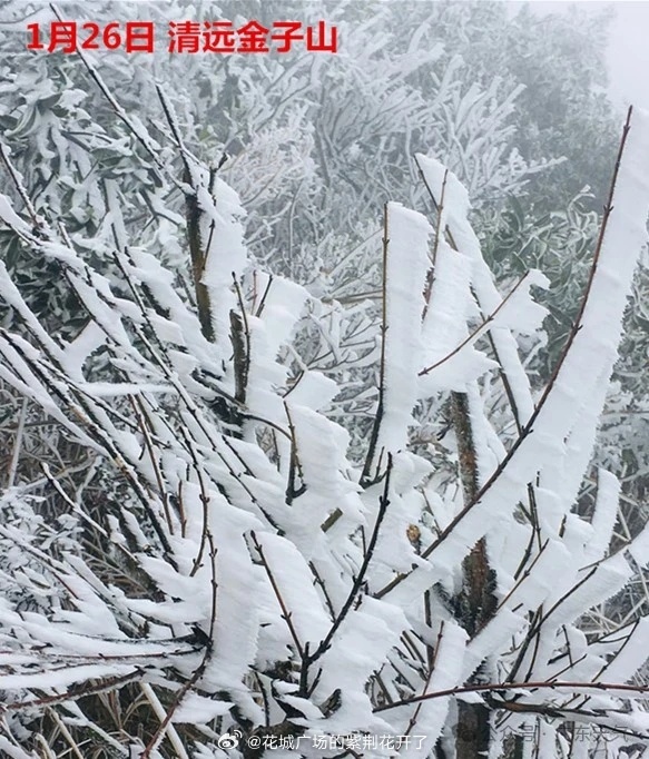 廣東受冷空氣侵襲，粵北金子山迎冰雪奇觀。（微博）