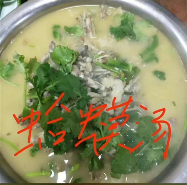 山東小店老闆發佈影片介紹菜品遭罰款45萬元人民幣。指尖新聞 山東小店老闆發佈影片介紹菜品遭罰款45萬元人民幣。指尖新聞