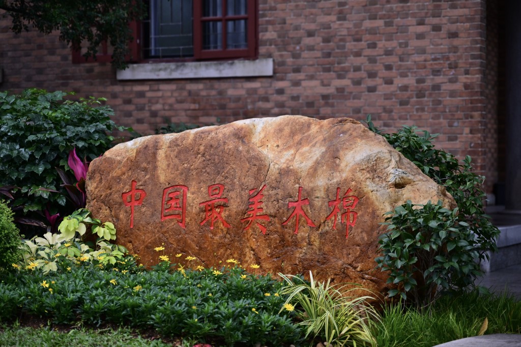 「木棉王」享有「中国最美木棉」之誉。