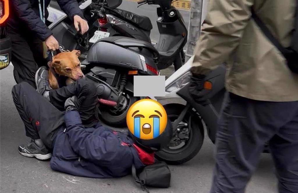 同一只比特犬本月6日已曾咬伤人。中时