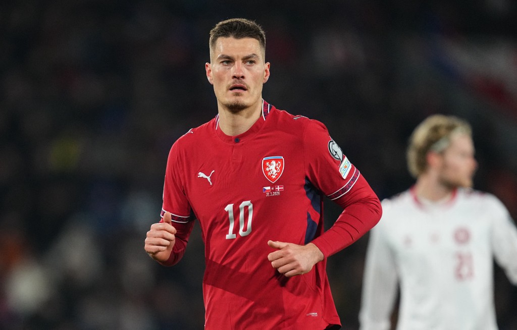 捷克前锋柏德列舒希克。法新社