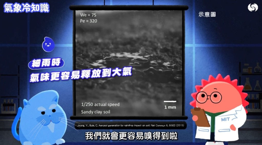 香港天文台《氣象冷知識》「汪汪夢裏聞:下雨的味道」截圖。 香港天文台《氣象冷知識》「汪汪夢裏聞:下雨的味道」截圖。