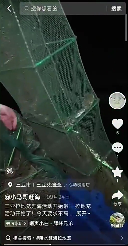 商家剪电网带客闯保护区,滥用“绝户网”捕幼鱼幼虾。 央视 商家剪电网带客闯保护区,滥用“绝户网”捕幼鱼幼虾。 央视