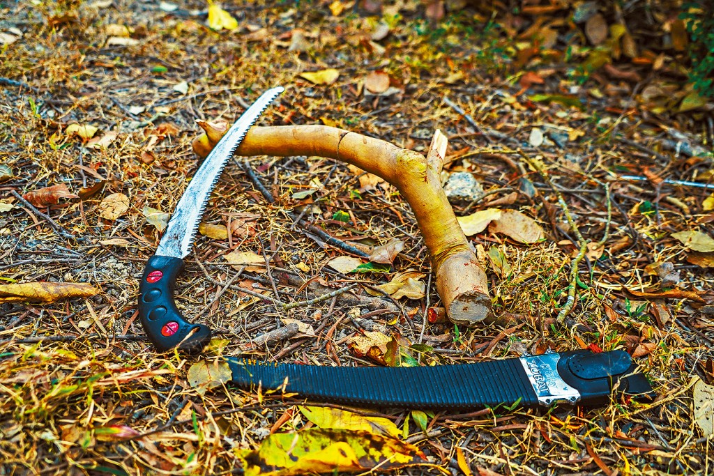 攀樹師使用的其中一款手鋸，鋸身呈弧狀，修枝時有利於切口平整。