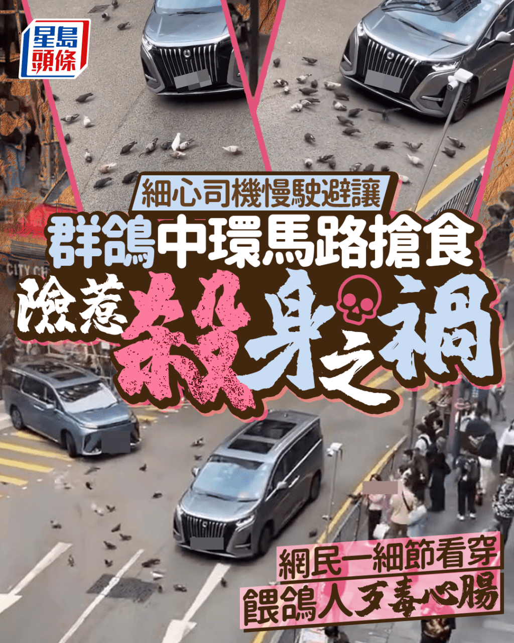 細心司機慢駛避讓 群鴿中環馬路搶食險惹殺身之禍 網民一細節看穿餵鴿人歹毒心腸｜Juicy叮
