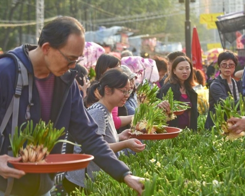今年農曆年宵市場將於2019年1月30日至2019年2月5日清晨期間舉行。