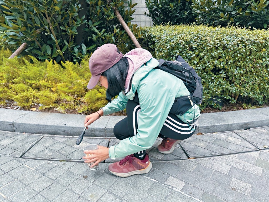 楊婷去年及今年都有在網上發起「拾萬煙挑戰」。 