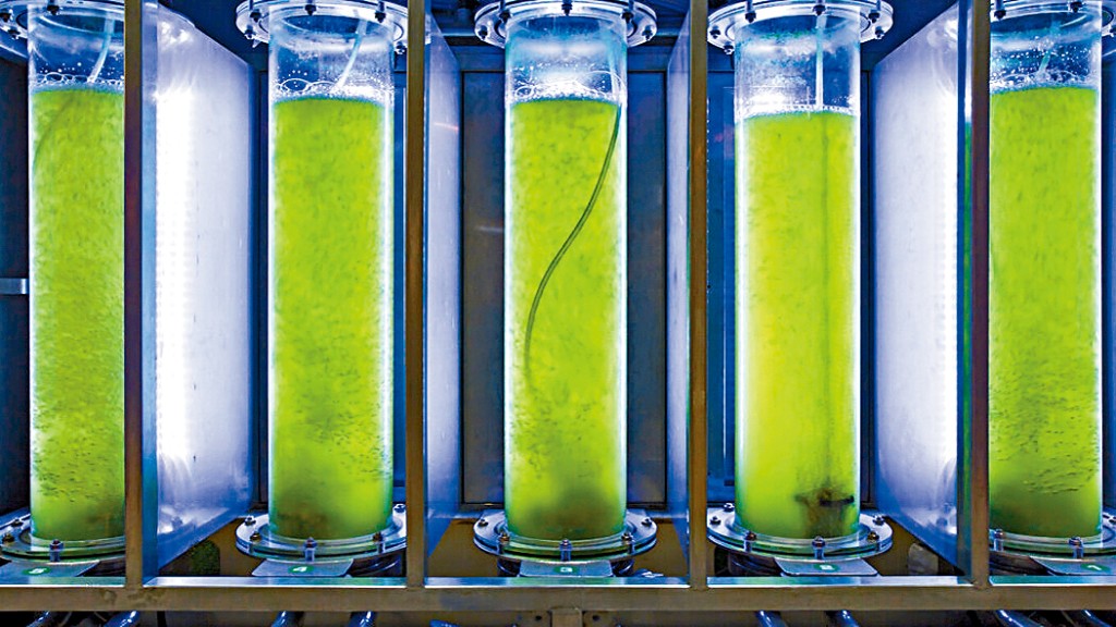 微藻技術是優化微藻生長及自動化收成的高效碳捕獲及轉化技術。