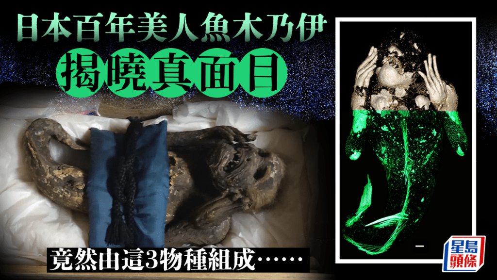 研究發現日本百年「美人魚木乃伊」竟是「3物種」組成生物。 