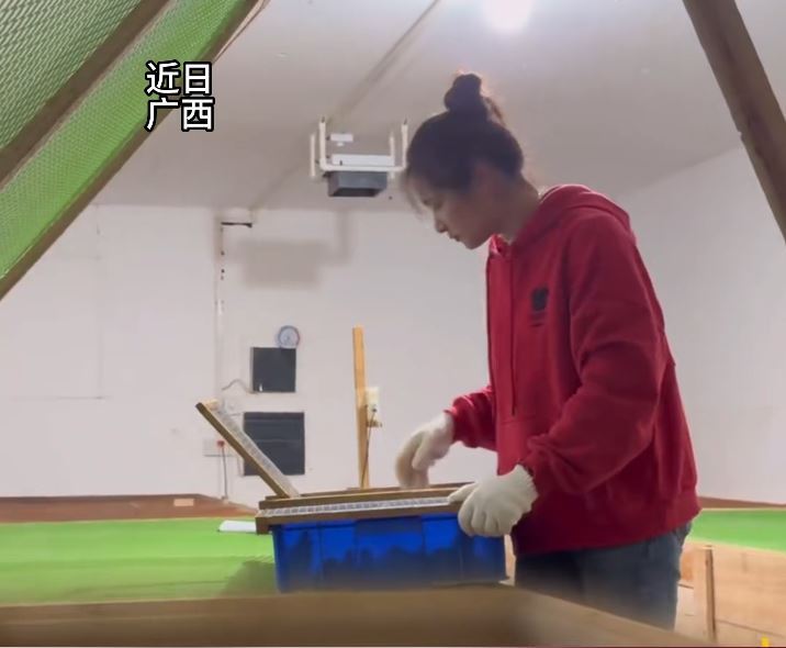 桂林女蛇王自小與蛇為伴，現在養6萬毒蛇，年入百萬元。抖音