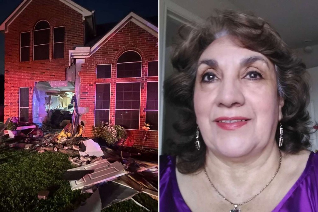 Model 3高速撞德州民宅，76岁老妇阿维拉伤重不治。 Harris County Constable's Office Precinct 5/gofundme