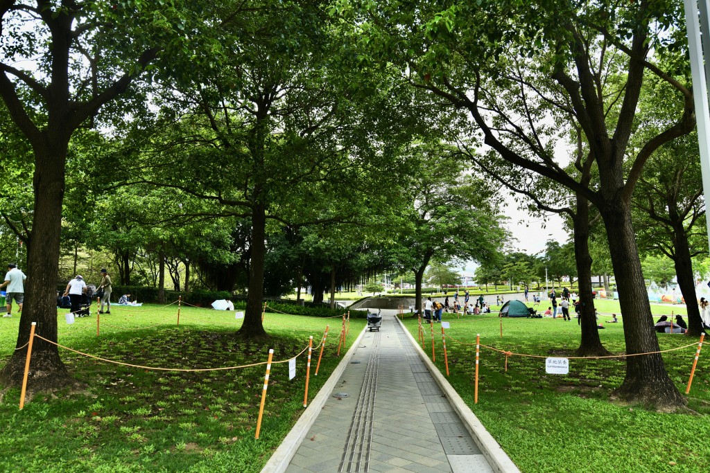 添馬公園將廣種紫花風鈴木及勒杜鵑。資料圖片 添馬公園將廣種紫花風鈴木及勒杜鵑。資料圖片