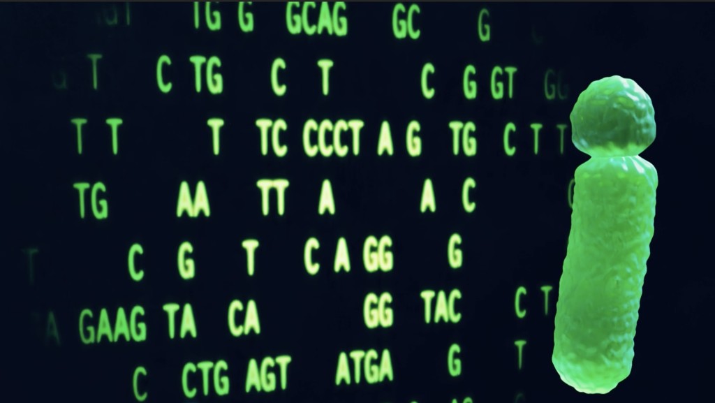 美國研究人員領銜的團隊首次發布完整的人類Y染色體基因序列。  NHGRI
