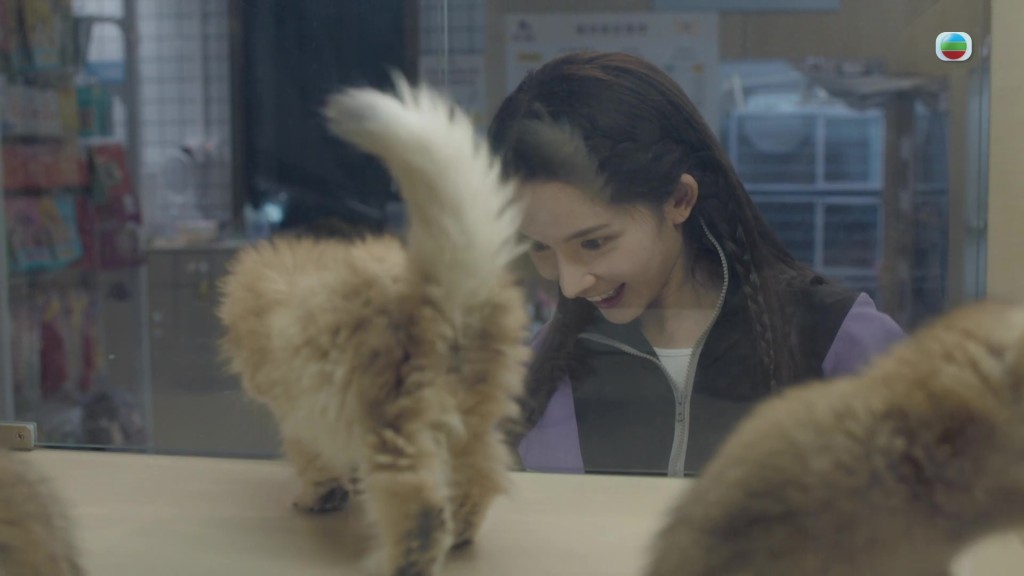 現實生活中的陳若思喜歡動物。