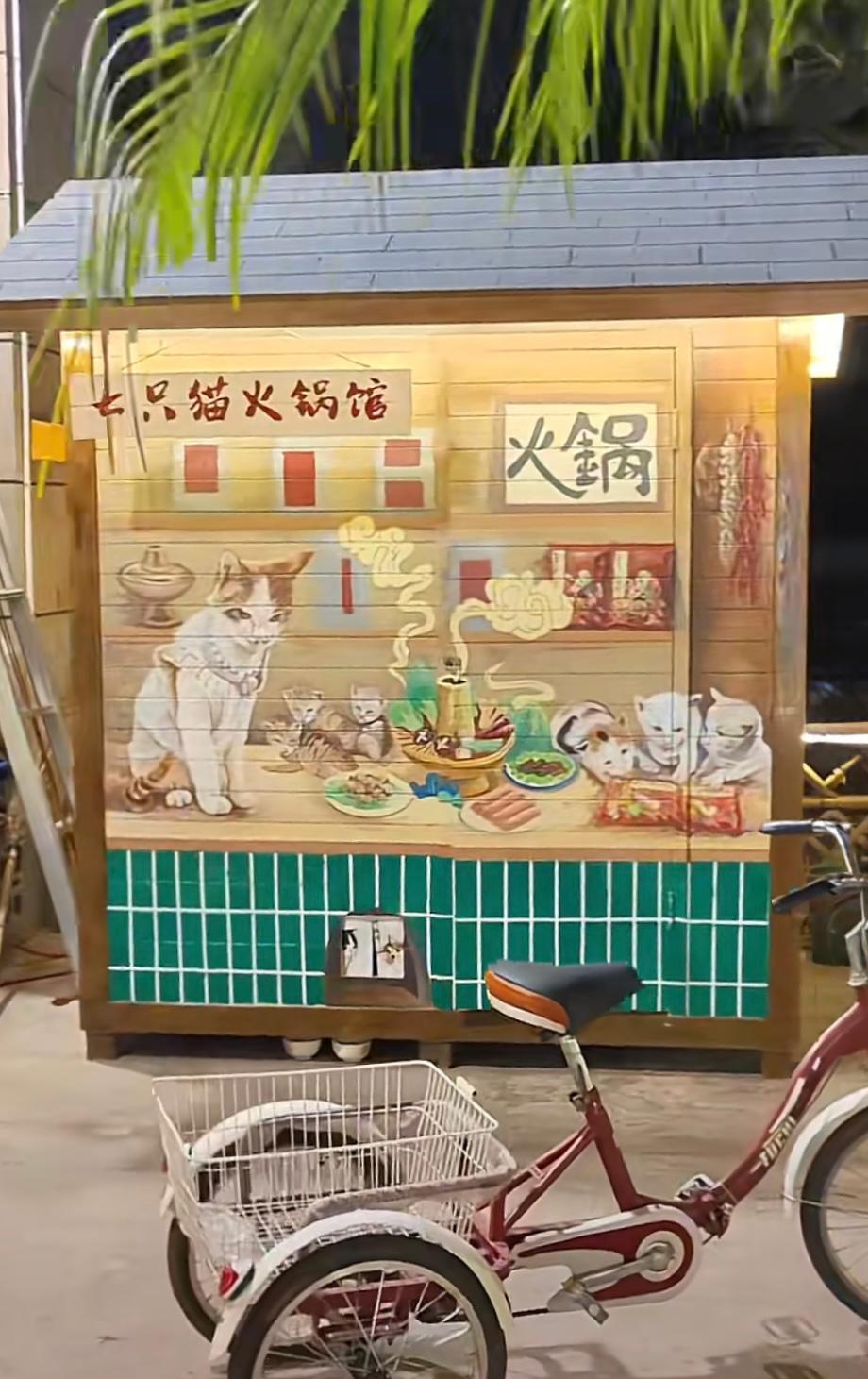 火鍋店老闆為流浪貓開「喵界火鍋店」。抖音@四季豆有七隻貓