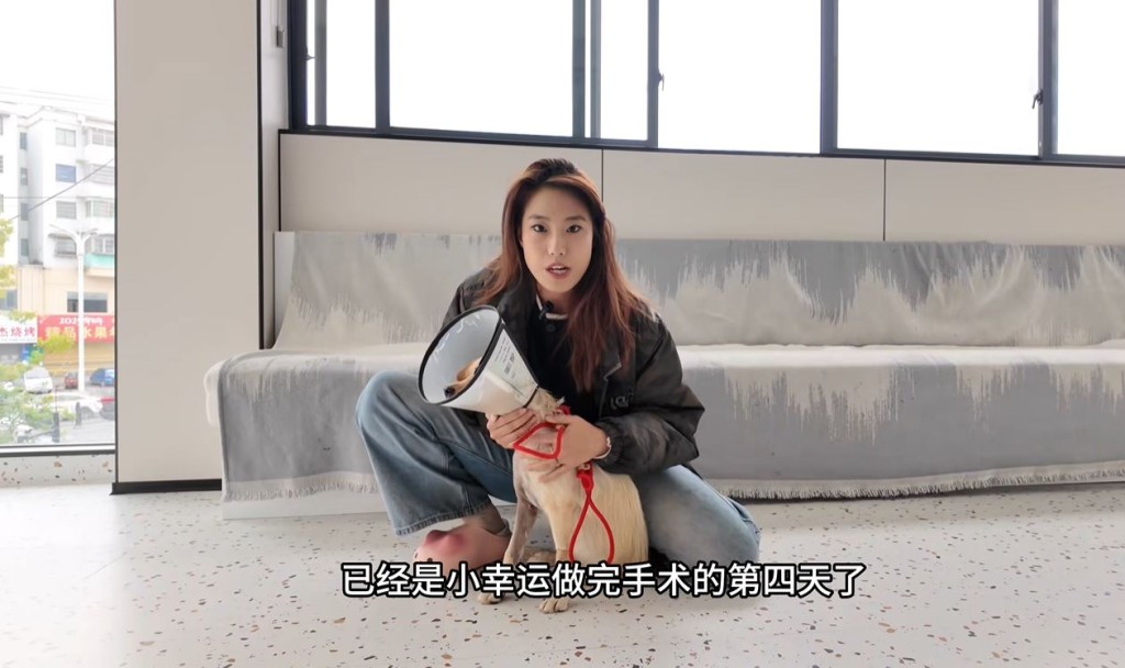 秦思雨长年救助流浪动物，因感染罕见真菌离世。