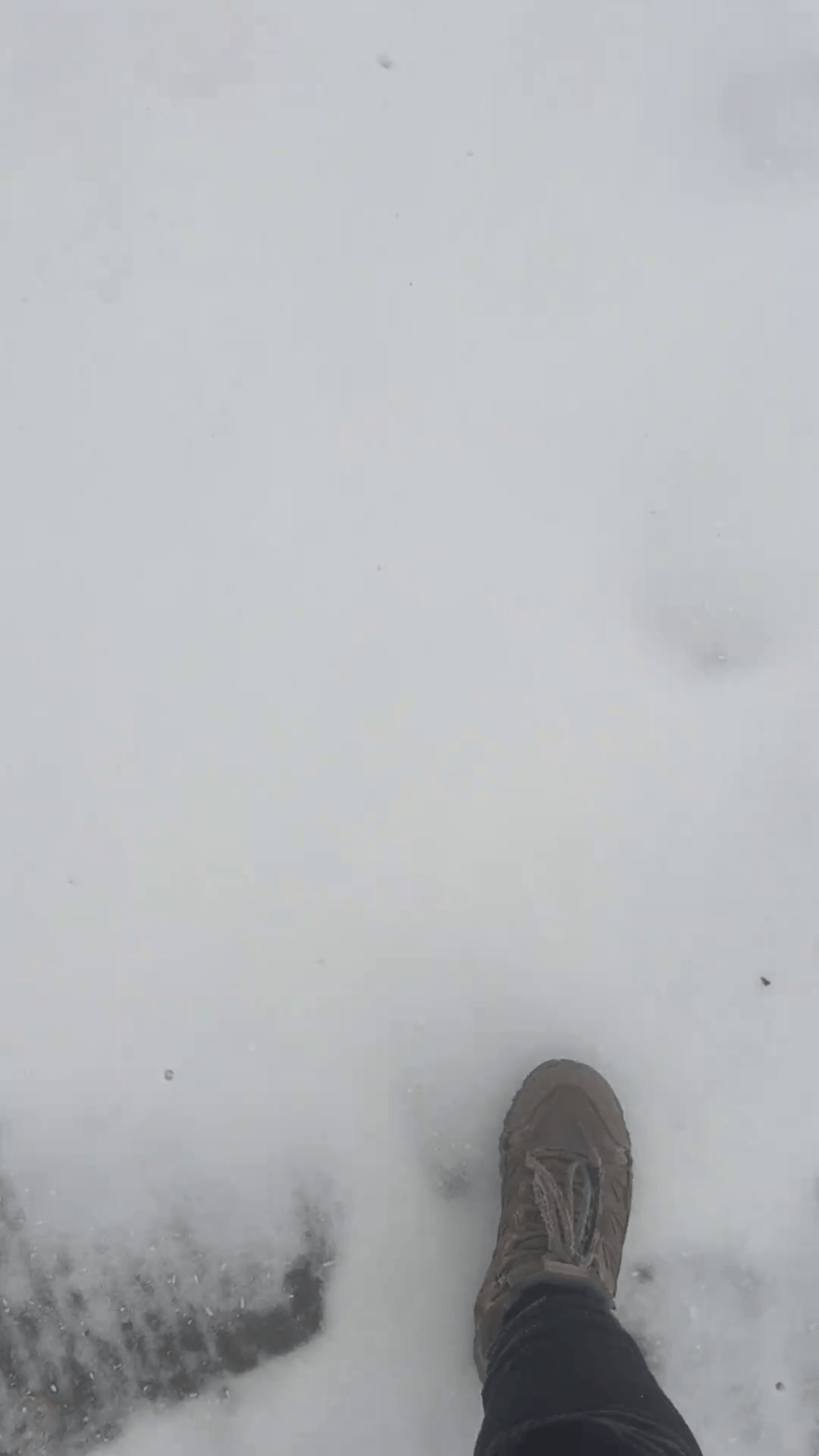 山西五台山景區迎降雪、大霧、大風、寒冷天氣。 山西五台山景區迎降雪、大霧、大風、寒冷天氣。