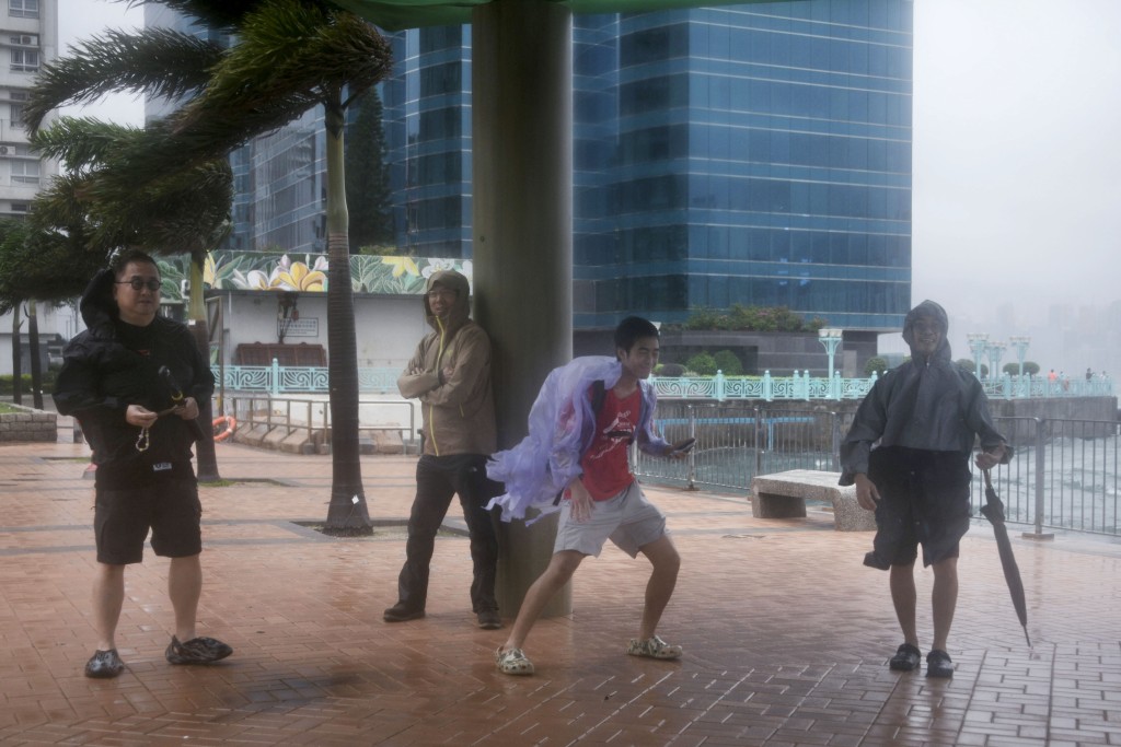 為追風做好準備。陳浩元攝 為追風做好準備。陳浩元攝