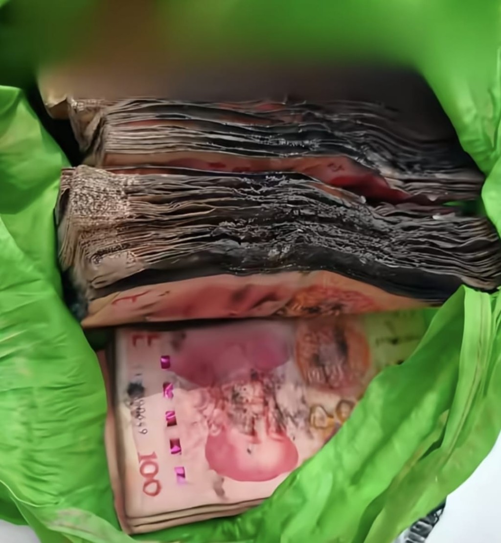 辽宁男人出差半月忘关窗，10万人民币现金放露台致发霉黐实。半岛晨报