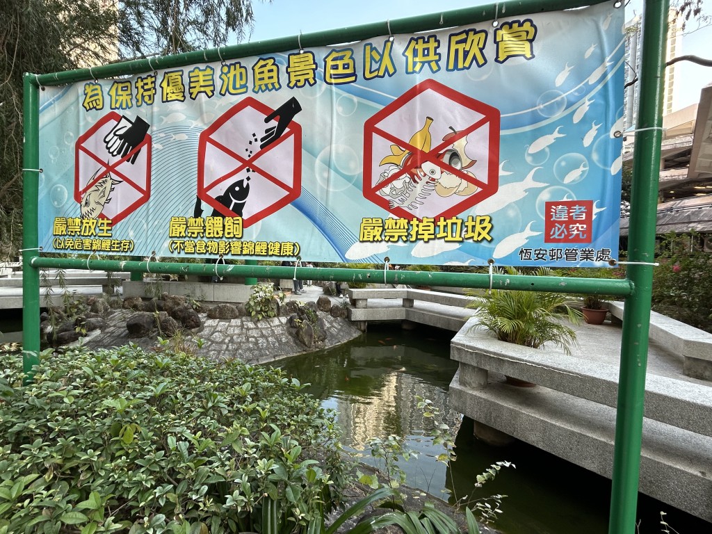 鱼池旁边竖立一张标语，呼吁居民切勿放生及喂饲。曾志恒摄