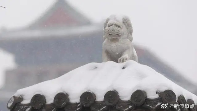 今次寒流受中高緯度的冷高壓波動所引發。（微博）