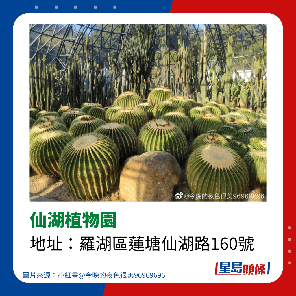 深圳好去處2023｜深圳一日遊景點推介｜仙湖植物園