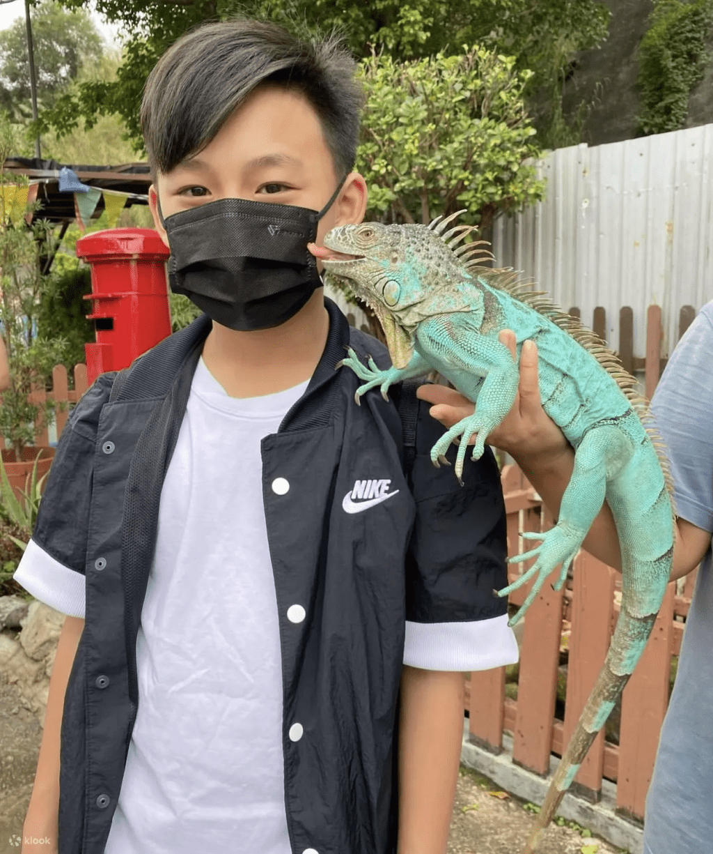 (圖片來源:Klook) (圖片來源:Klook)