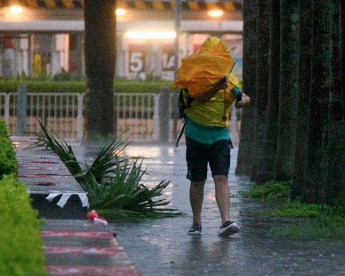 海高斯為本港帶來狂風大雨。
