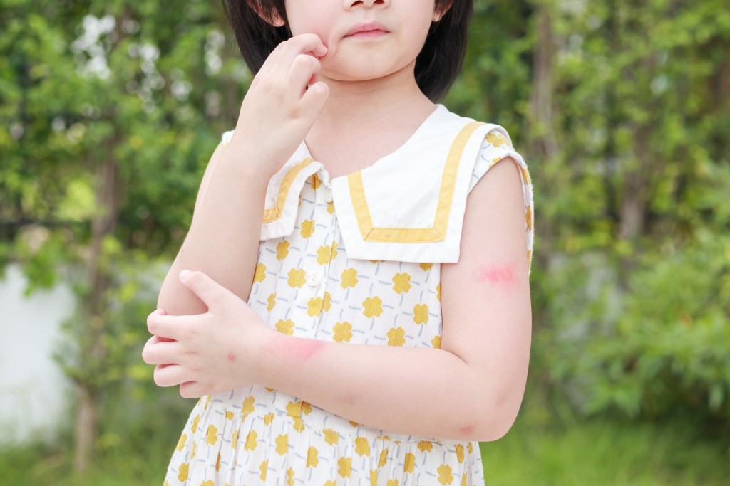 (图片来源:Shutterstock) (图片来源:Shutterstock)