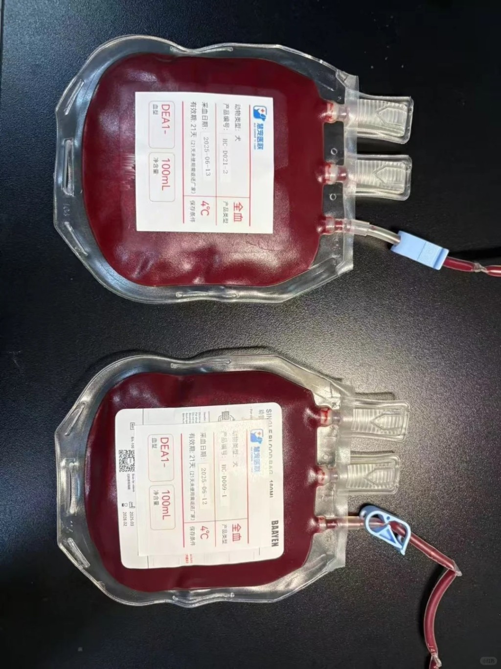 內地的寵物血庫市場規模不斷擴大。小紅書＠慧寵生物