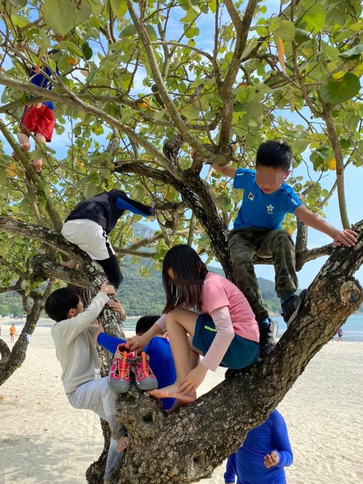 幼稚園帶團到海灘露營。FB圖