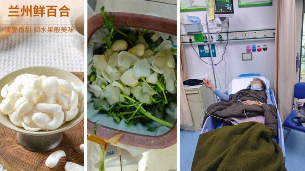 北京有市民在盒馬網購鮮百合，卻誤送有毒的水仙球，累兩婆孫中毒入院。津雲新聞