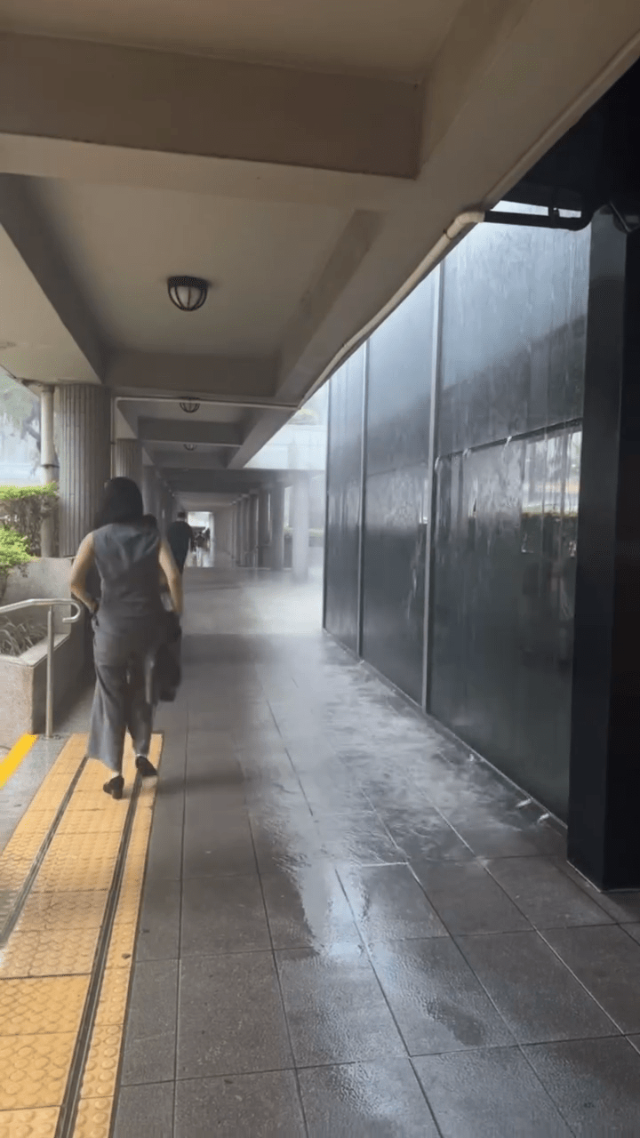 雨勢龐大 雨勢龐大